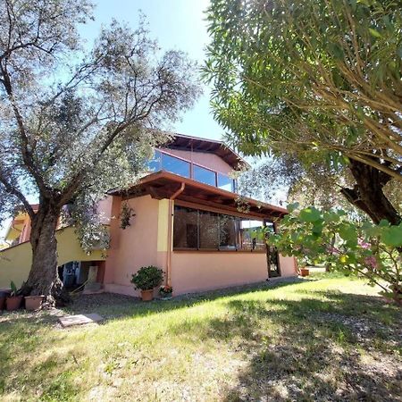 Casa L' Antico Ulivo Apartment Iglesias Luaran gambar