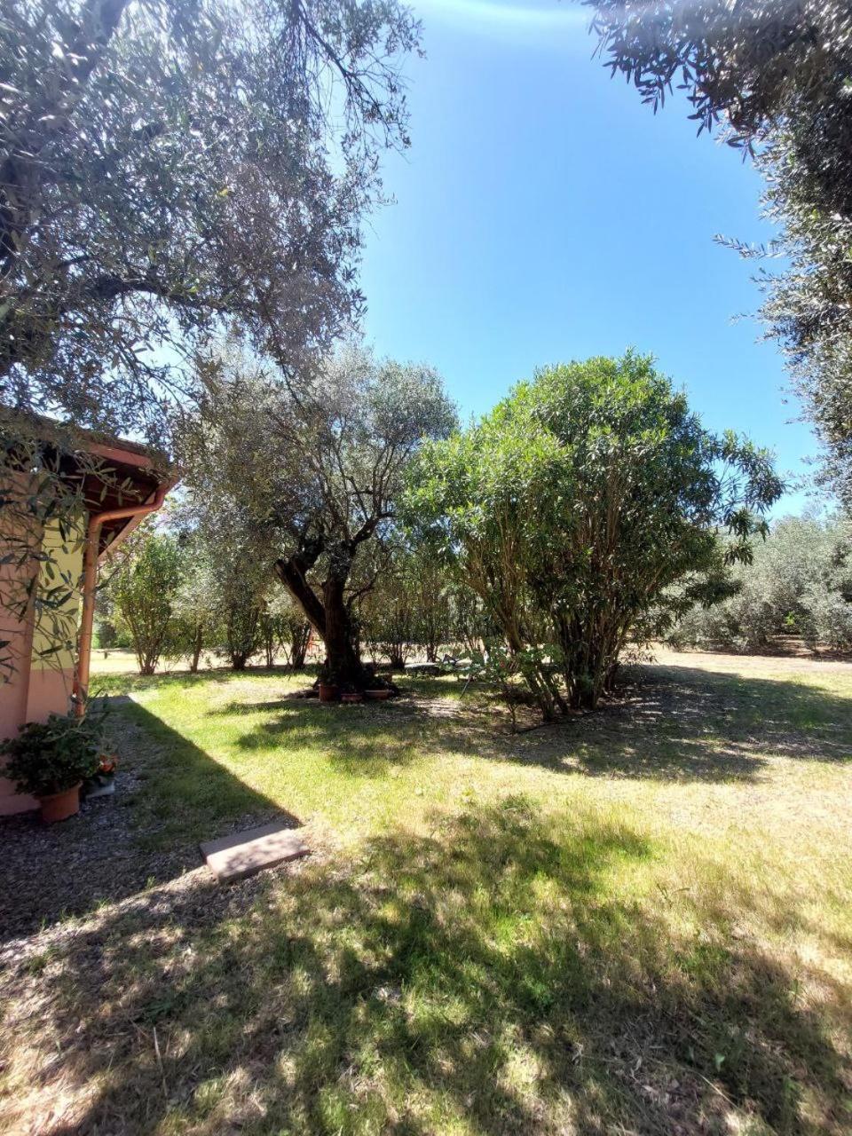 Casa L' Antico Ulivo Apartment Iglesias Luaran gambar