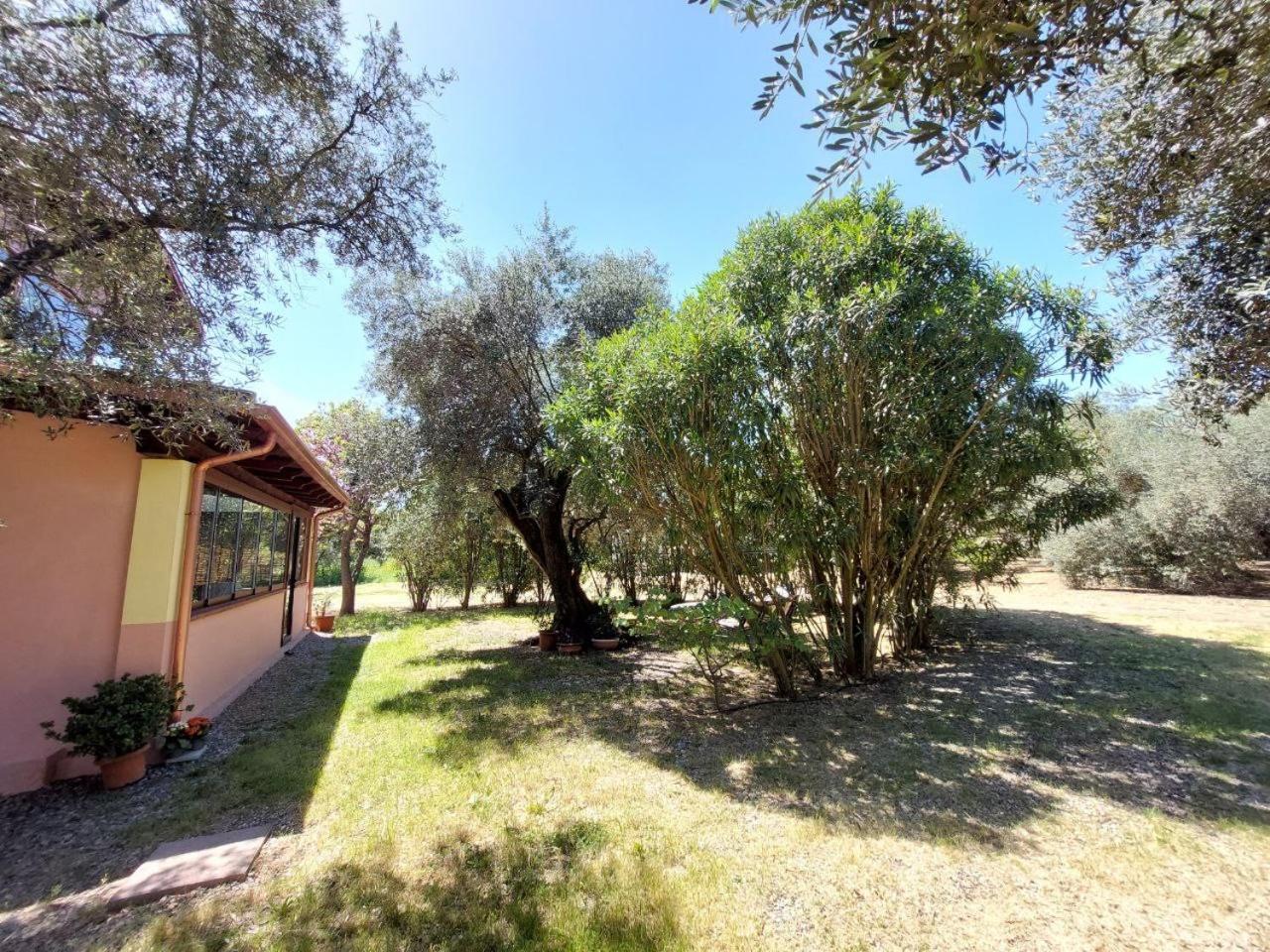 Casa L' Antico Ulivo Apartment Iglesias Luaran gambar