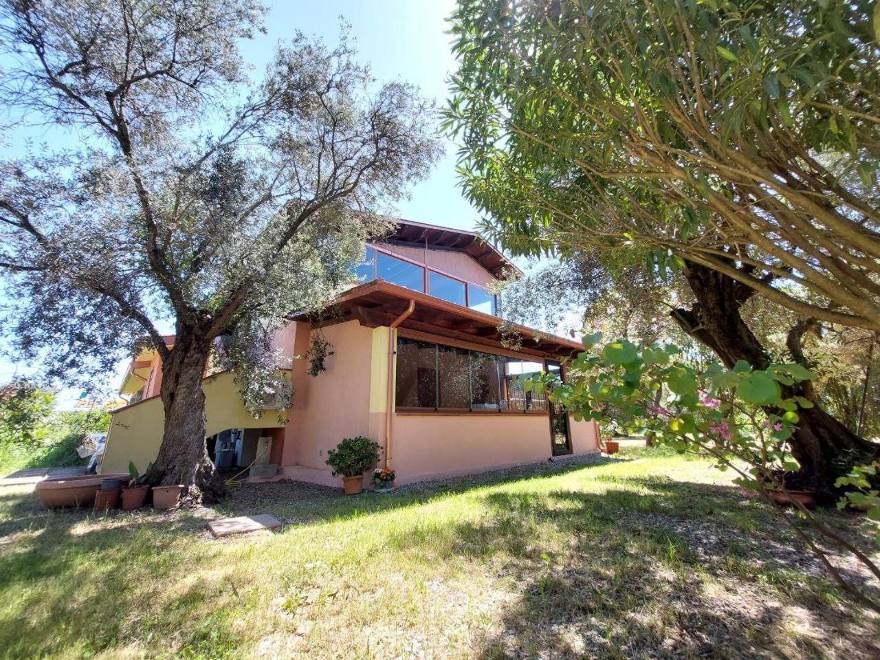 Casa L' Antico Ulivo Apartment Iglesias Luaran gambar