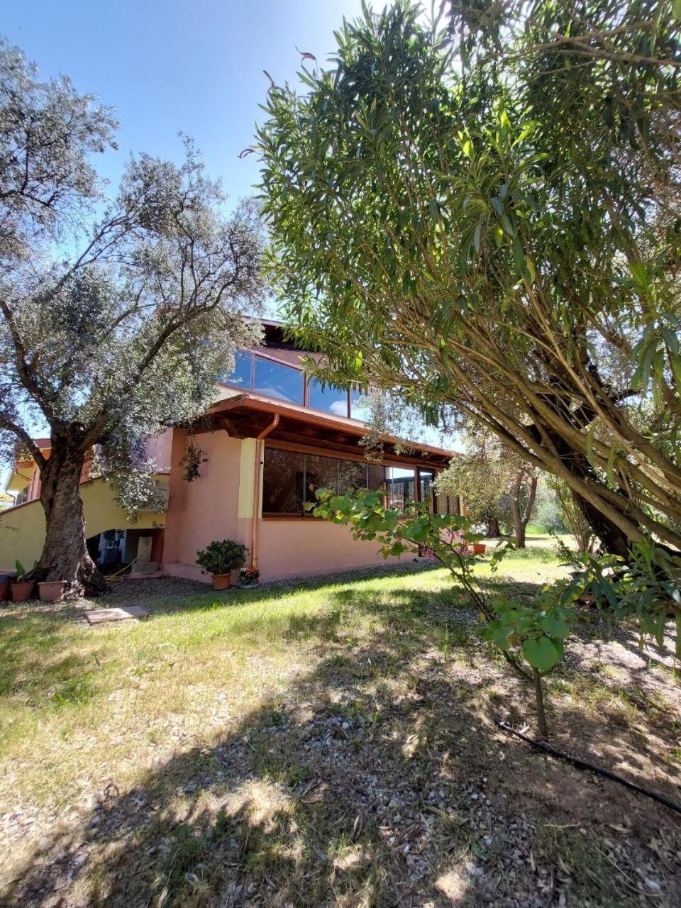 Casa L' Antico Ulivo Apartment Iglesias Luaran gambar